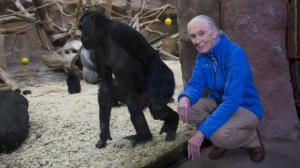 Jane Goodal při návštěvě Zoo Praha v roce 2016, foto: Václav Šilha, Zoo Praha