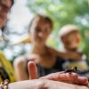 Návštěvníci se mohou těšit i na ukázky živého hmyzu na terase Vzdělávacího centra. Foto Petr Hamerník, Zoo Praha