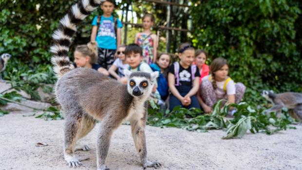 Foto: Oliver Le Que, Zoo Praha