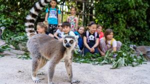 Foto: Oliver Le Que, Zoo Praha