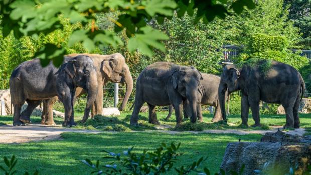 Foto: Petr Hamerník, Zoo Praha