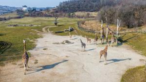 Foto: Tomáš Adamec, Zoo Praha