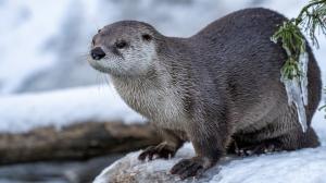 Foto: Petr Hamerník, Zoo Praha