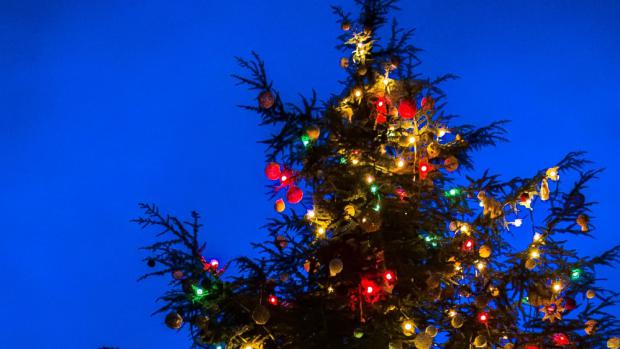 První adventní neděli pražská zoo společně se svými návštěvníky a významnými hosty rozsvítí vánoční strom. Foto: Petr Hamerník, Zoo Praha