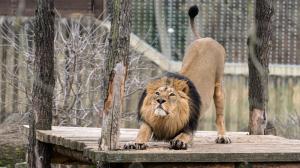 Foto: Petr Hamerník, Zoo Praha