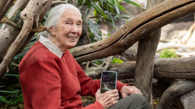 Jane Goodall, foto: Oliver Le Que, Zoo Praha