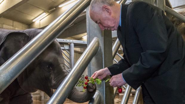 Profesor Josef Koutecký popřál Sitě hlavně dlouhý a spokojený život. Petr Hamerník, Zoo Praha