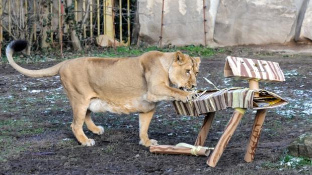 Foto: Martin Smrček, Zoo Praha