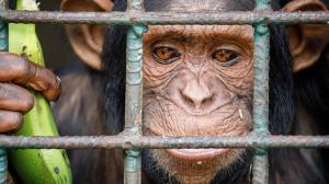 Foto: Miroslav Bobek, Zoo Praha