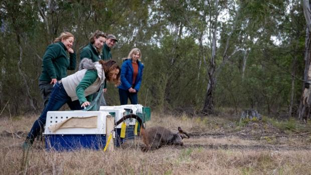 Foto: Threatened Species Commissioner 