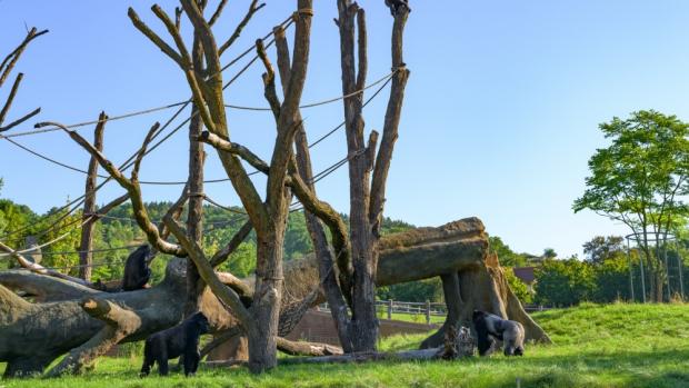 Foto: Petr Hamerník, Zoo Praha