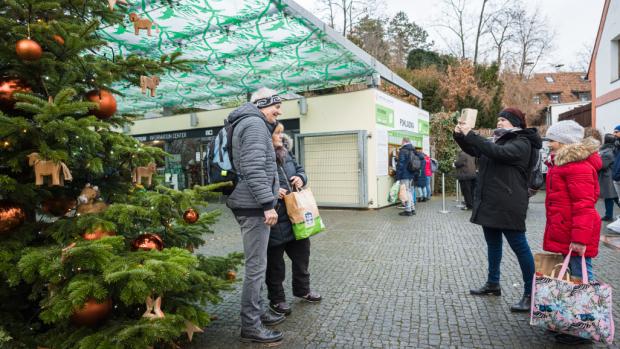 Vánoční prázdniny v Zoo Praha. Foto: Petr Hamerník, Zoo Praha