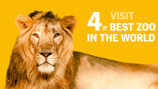 4th best zoo in the world! 