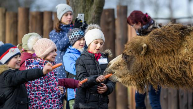 Děti v Zoo Praha (ilustrační snímek). Foto: Petr Hamerník, Zoo Praha