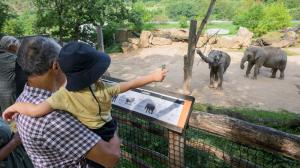 Foto: Petr Hamerník, Zoo Praha