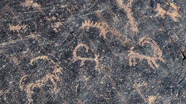 Detail of the original stone with petroglyphs. Photo: Miroslav Bobek, Prague Zoo