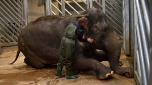 Один день в роли смотрителя за животными. Photo: Archiv Zoo Praha 