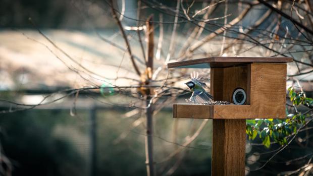 Foto: Petr Hamerník, Zoo Praha