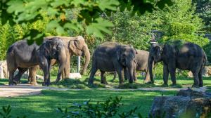 Foto: Petr Hamerník, Zoo Praha