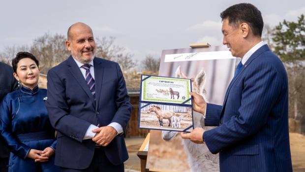 Ředitel Zoo Praha Miroslav Bobek uděluje mongolskému prezidentu Uchnágínu Chürelsüchovi certifikát o pojmenování hříběte koně Převalského, které má v plemenné knize číslo 7 000. Nalevo stojí mongolská ministryně zahraničních věcí Battsetseg Batmunkh. Foto Oliver Le Que, Zoo Praha