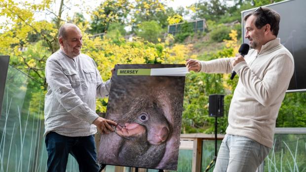 Pohlaví i jméno prvního českého mláděte vombata společně odhalili ředitel Zoo Praha Miroslav Bobek a patron pražských vombatů herec Ondřej Sokol. Foto: Oliver Le Que, Zoo Praha