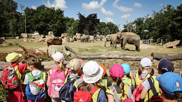 Den dětí v Zoo Praha. Foto: Archiv Zoo Praha