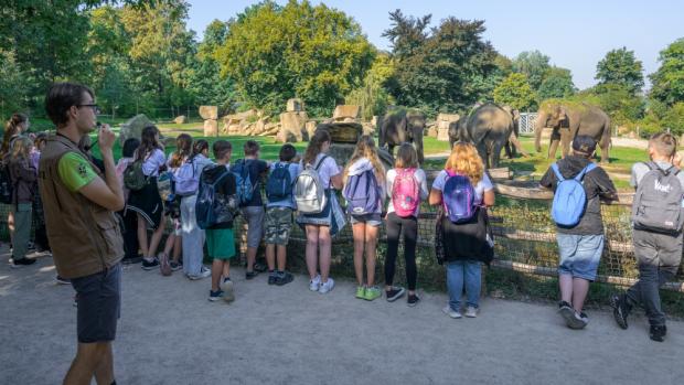 Foto: Petr Hamerník, Zoo Praha