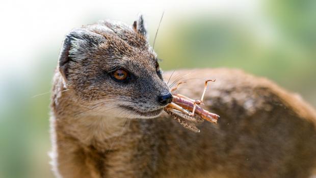 Foto: Archiv Zoo Praha