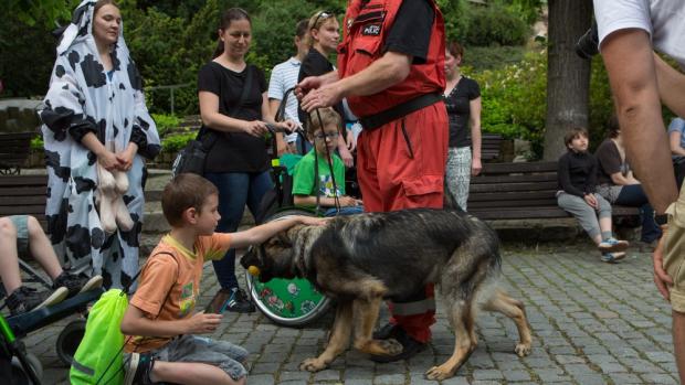 Noc snů, foto: Václav Šilha, Zoo Praha