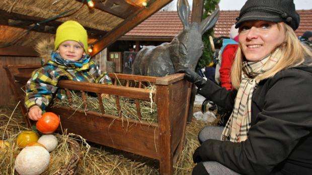 Vánoční program pražské zoo bude plný Betlému a českých tradic. Foto: Stanislav Pecháček