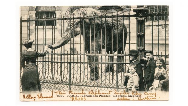 Zoo Praha vznikla až dlouho po zřízení zoologických zahrad v jiných evropských metropolích. Pohlednice ze samotného počátku 20. století ze sbírky autora.