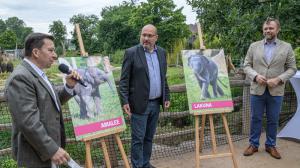 Letošní sloní samičky v Zoo Praha pokřtili (zleva) státní tajemník Ministerstva zahraničních věcí ČR Miloslav Stašek, ředitel Zoo Praha Miroslav Bobek a předseda představenstva a generální ředitel Komerční banky Jan Juchelka. Foto: Petr Hamerník, Zoo Praha