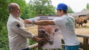 The name of the latest addition to Prague Zoo’s bison herd was jointly revealed by the zoo’s director, Miroslav Bobek, and slalom canoeist Jiří Prskavec Jr. Photo: Petr Hamerník, Prague Zoo