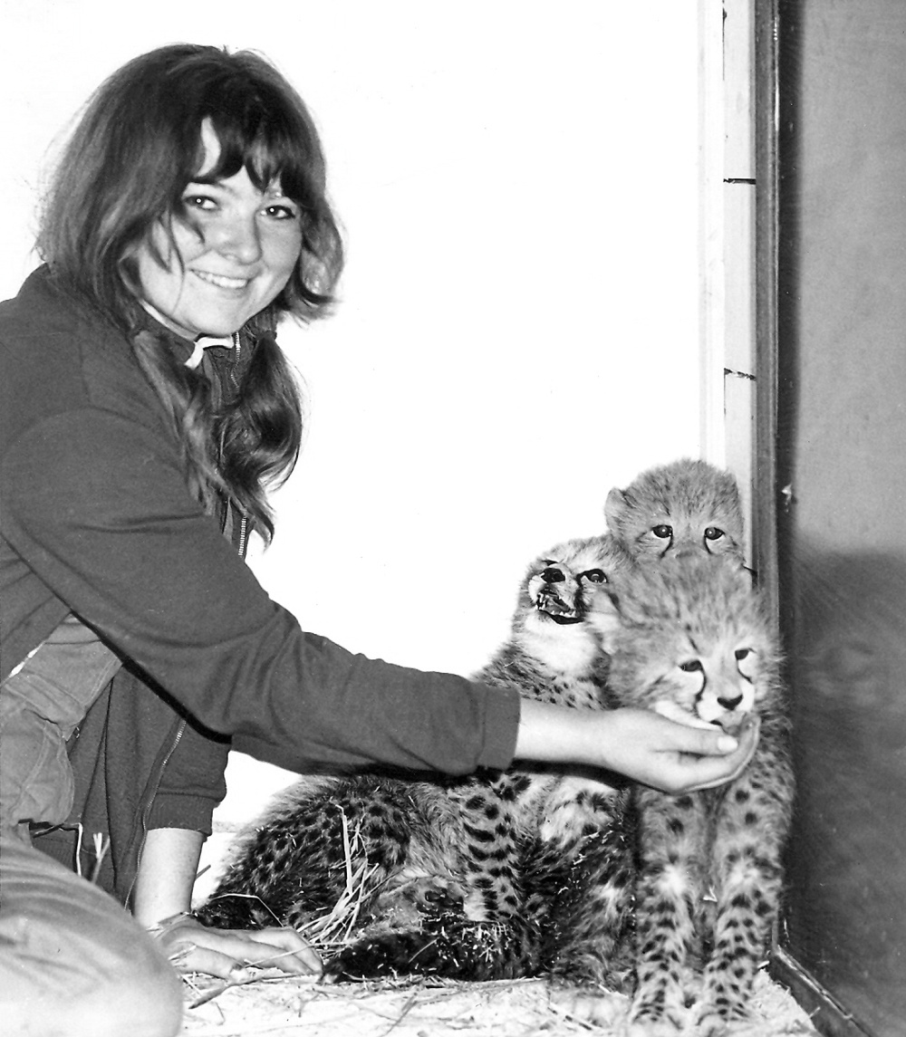 Libuše Matějásková s geparďaty, foto: Archiv Zoo Praha