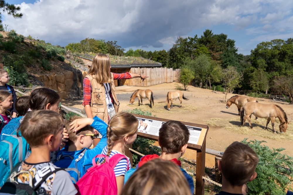 Vstup do Zoo Praha pro děti za jednu korunu udělá na sklonku letních prázdnin radost i jejich rodičům. Společně se pak mohou zúčastnit bohatého programu, např. komentovaných krmení a setkání u zvířat napříč areálem zoo. Na snímku je letos otevřený výběh koní Převalského, součást expozice Gobi. Foto Oliver Le Que, Zoo Praha