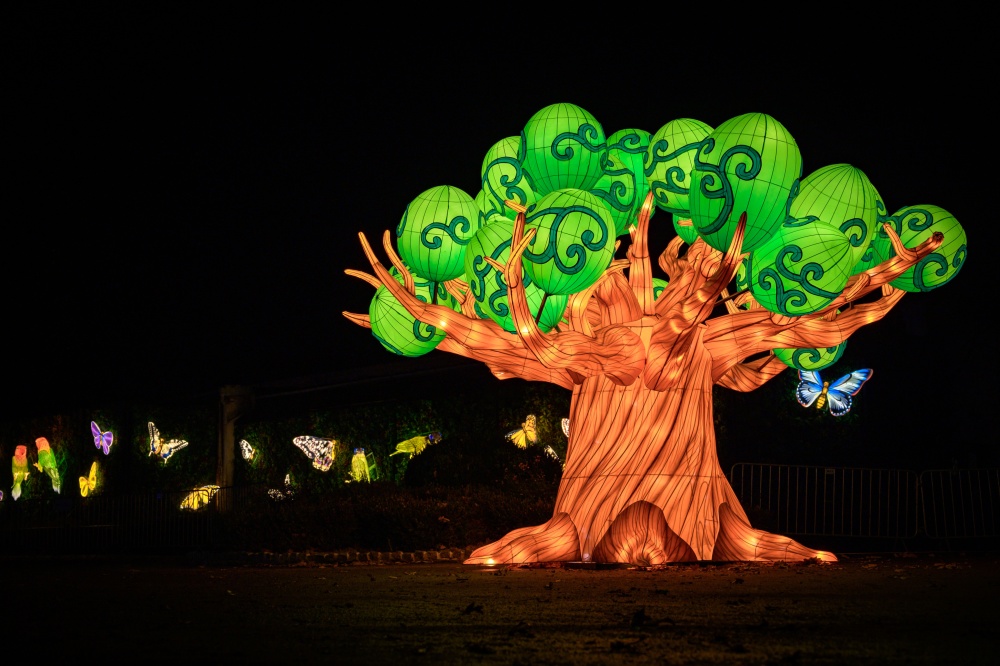 Posvátný baobab bude zdobit plácek u Vzdělávacího centra. Zdroj: Garden of Lights