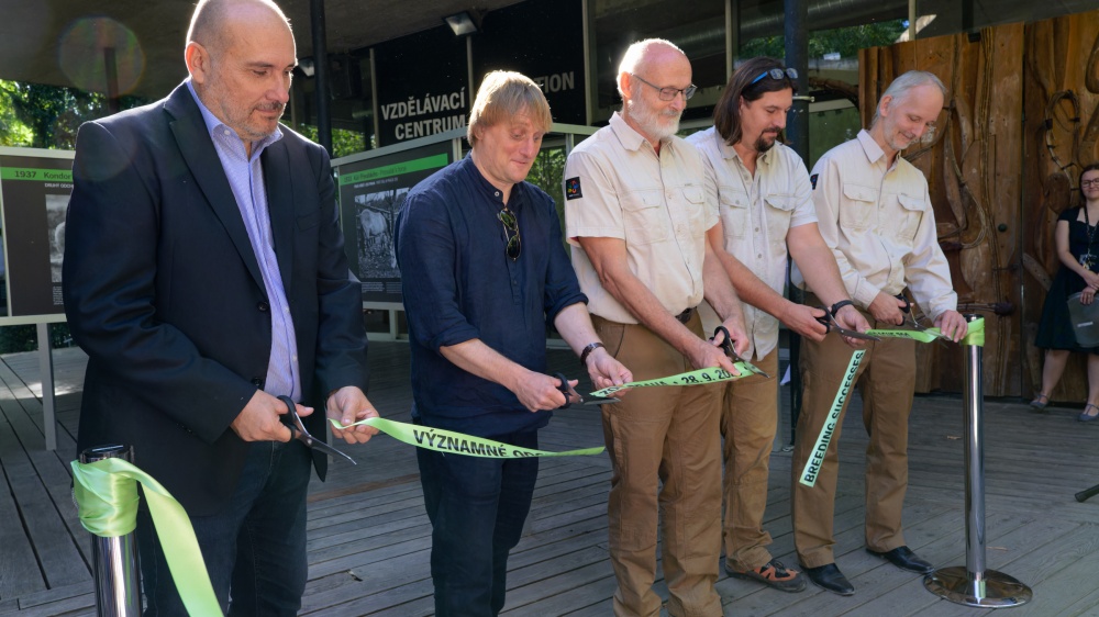 Ve 14 hodin proběhla slavnostní vernisáž výstavy Významné odchovy Zoo Praha. Dvě desítky nejdůležitějších chovatelských úspěchů spolu s dobovými fotografiemi si mohou lidé prohlédnout na terase Vzdělávacího centra. Na snímku zleva: ředitel Zoo Praha Miroslav Bobek, herec a bavič Lukáš Pavlásek, kurátor plazů Petr Velenský, kurátor ptáků Antonín Vaidl a kurátor savců Pavel Brandl. Foto Petr Hamerník, Zoo Praha