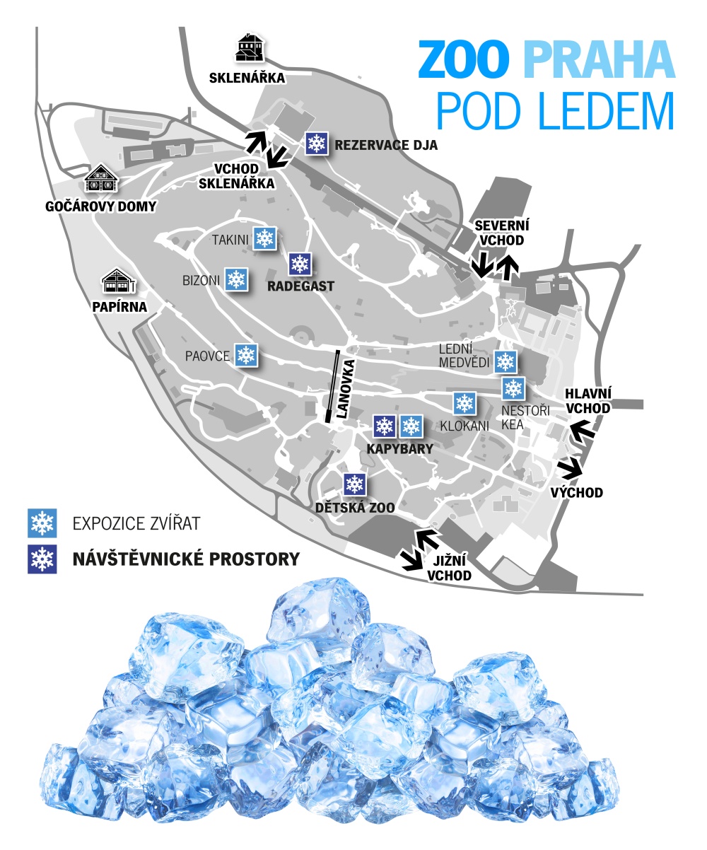  Zoo pod ledem: mapa pro čtvrtek 18. července