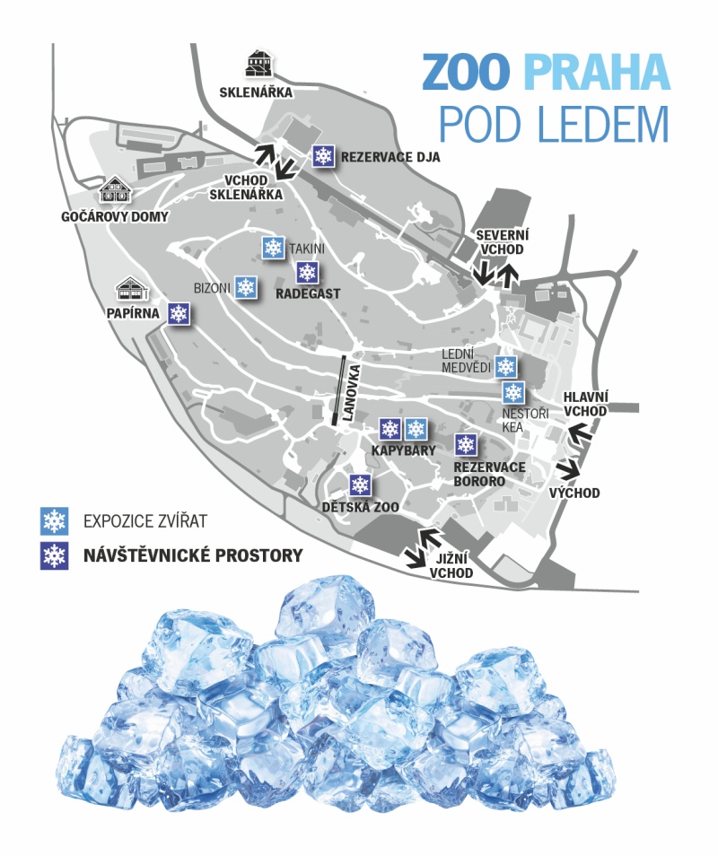 Kde bude možné pozorovat zvířata s ledem a kde se budou moci osvěžit sami návštěvníci, prozradí mapa sledující čtvrteční program. Zdroj Zoo Praha