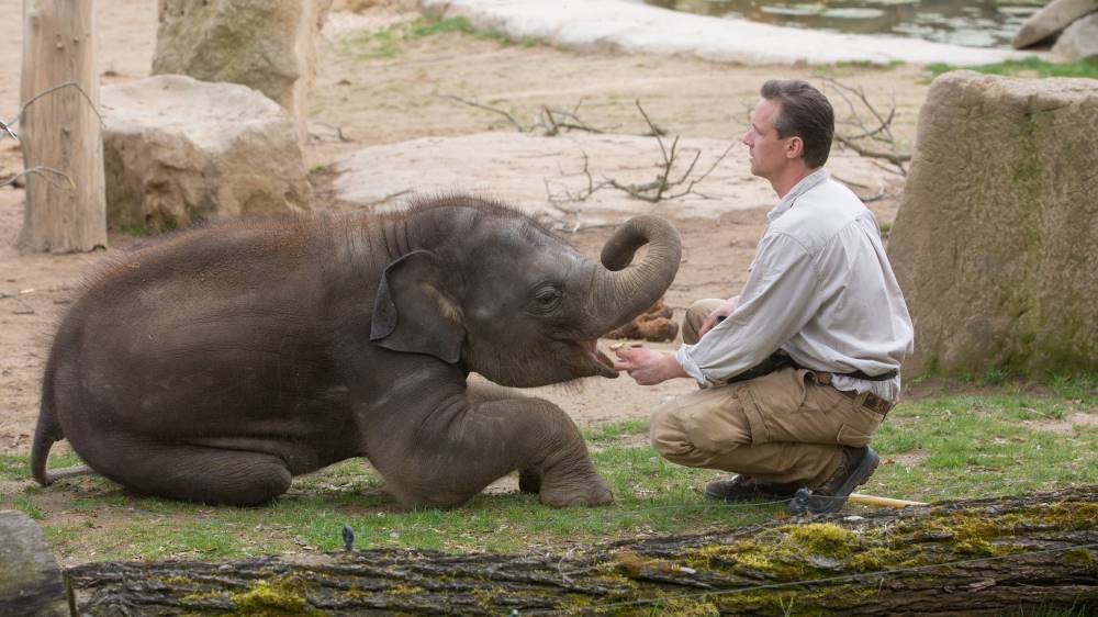 Foto: Václav Šilha, Zoo Praha