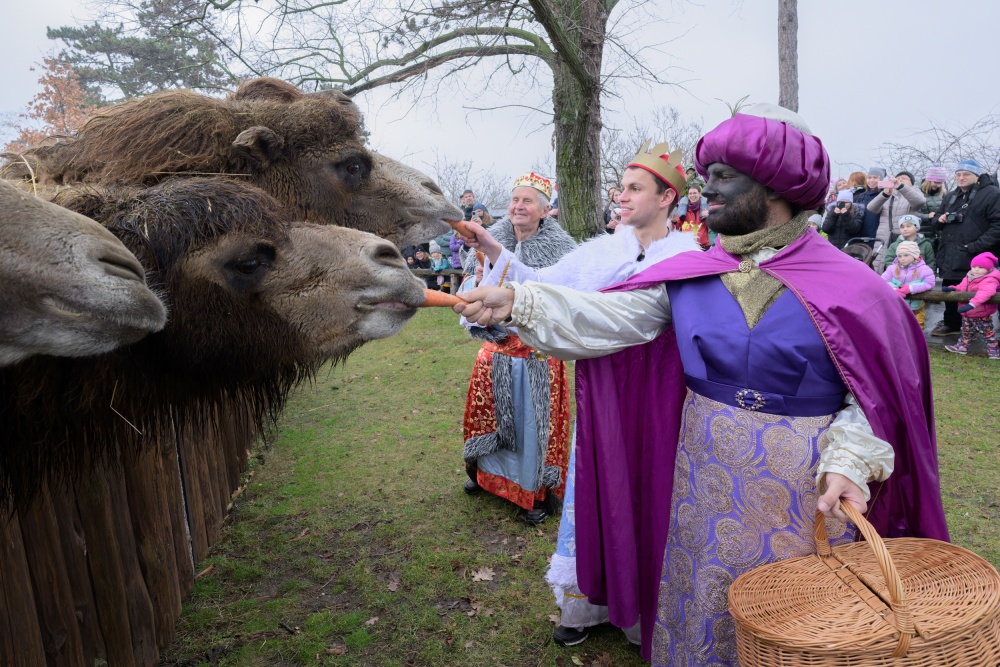 Foto: Petr Hamerník, Zoo Praha