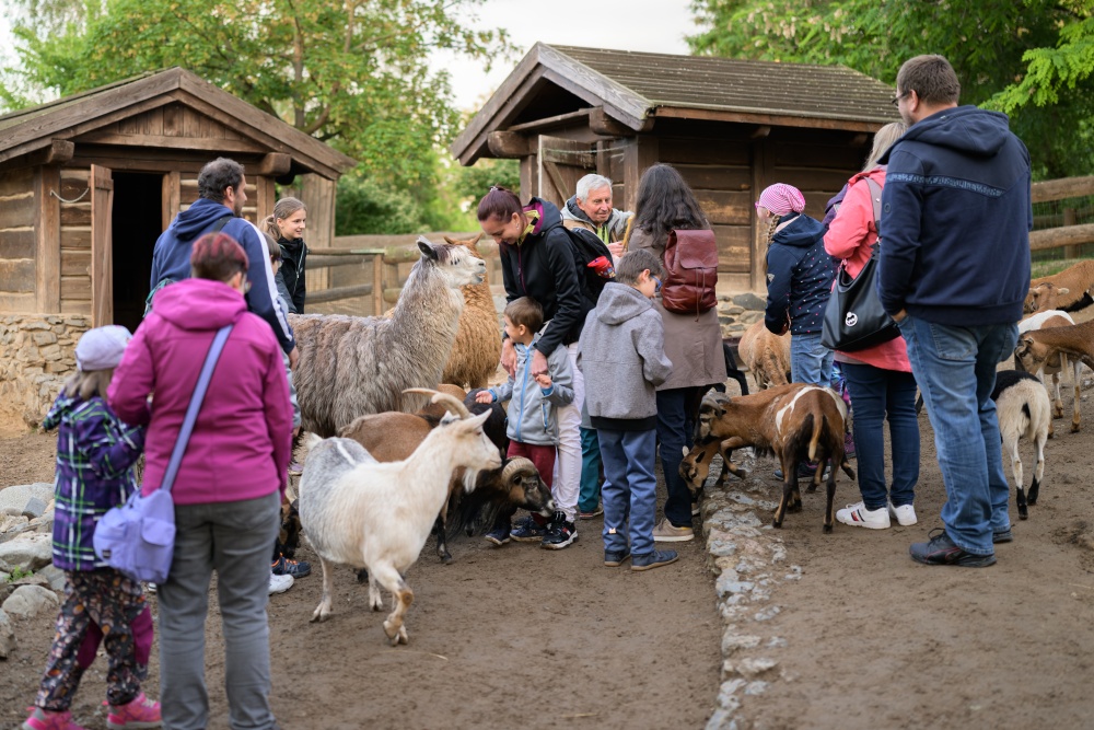 Foto: Petr Hamerník, Zoo Praha