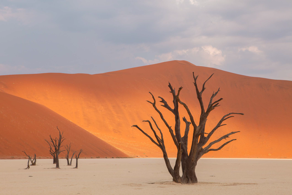 Poušť Namib – Namibie, Photo: Václav Šilha