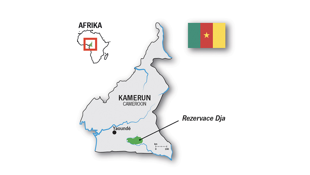 Kamerun Dja