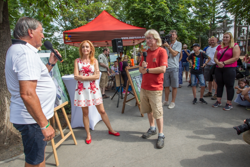 V neděli odpoledne proběhly v Zoo Praha křtiny mláděte klokana horského východního. Na fotografii zleva: kmotr mláděte a prezident fotbalového klubu Bohemians Praha 1905 Antonín Panenka, tisková mluvčí Zoo Praha Lenka Pastorčáková a chovatel Otakar Melichar. Foto: Tereza Mrhálková, Zoo Praha