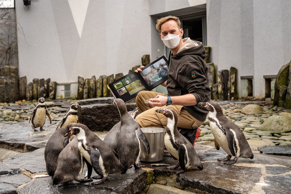 Vrchní chovatel Jakub Mezei ještě jednou, tentokrát mezi tučňáky. Foto: Oliver Le Que