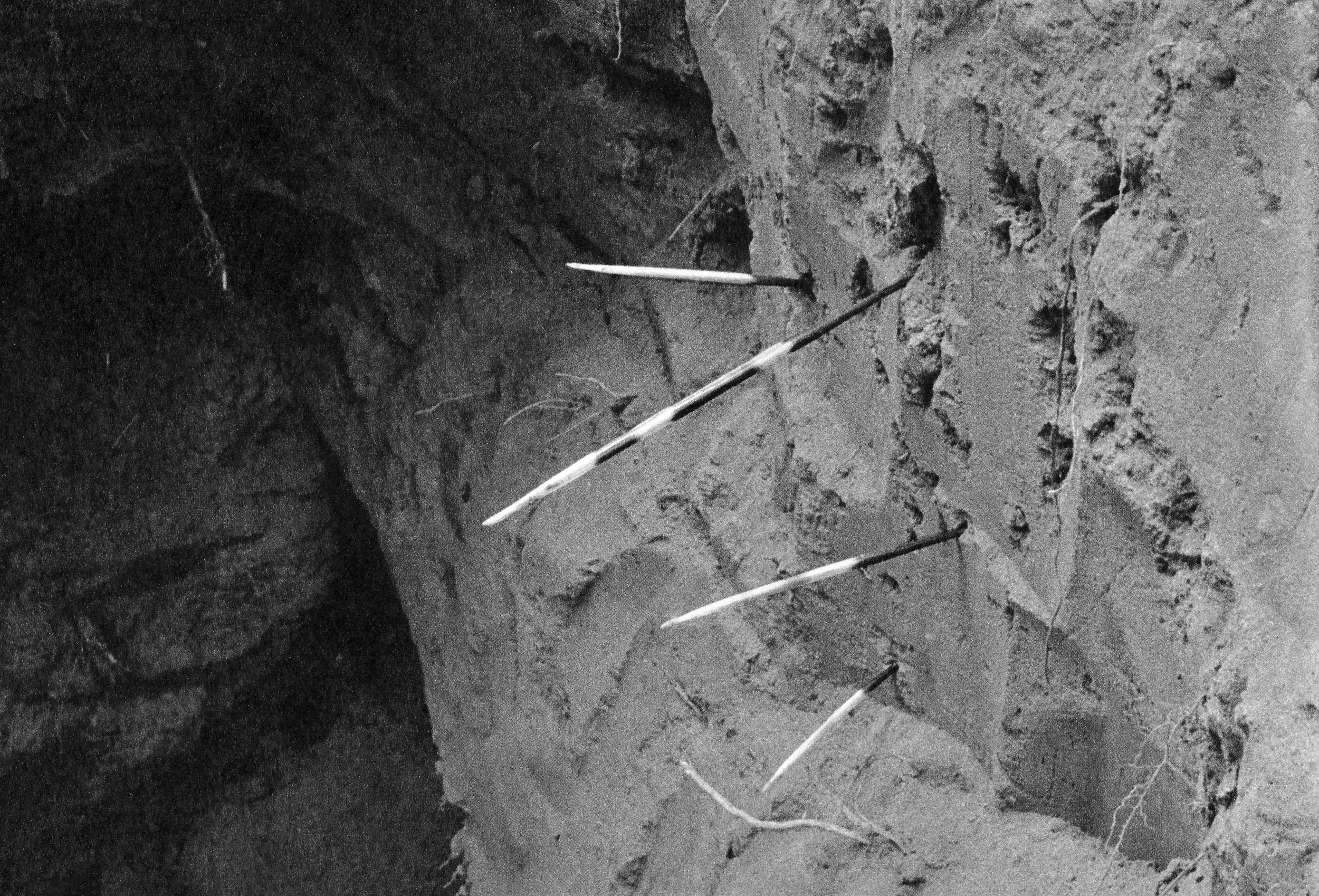 The picture of porcupine’s spines stuck into a clay wall from the book “Zvířata zblízka“ (Animals from Near). Photo František Vopat