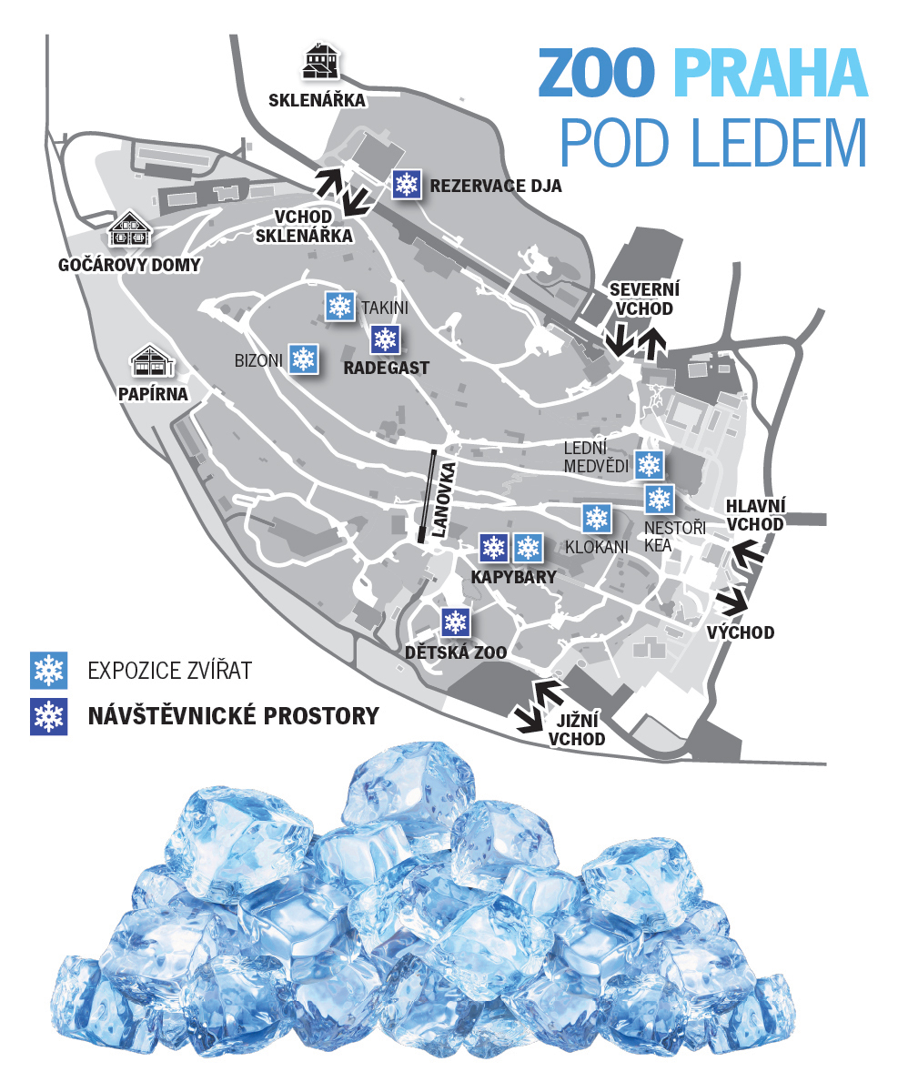 Zoo pod ledem: mapa pro středu 7. srpna 2024