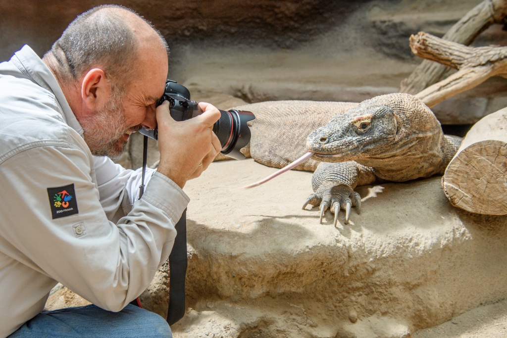 Ředitel Zoo Praha Miroslav Bobek se samcem varana komodského. Foto: Khalil Baalbaki, Zoo Praha