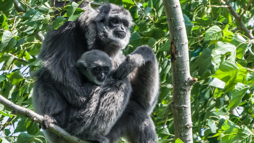 Foto: Petr Hamerník, Zoo Praha